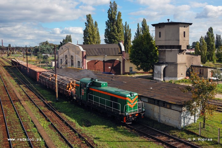 SM42-1137_Dabie_Radziol_PL