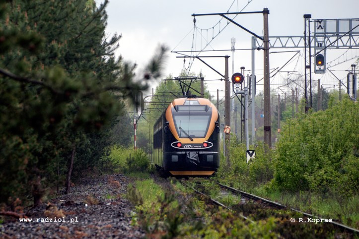 Leo_080517_krzaki_nowawies