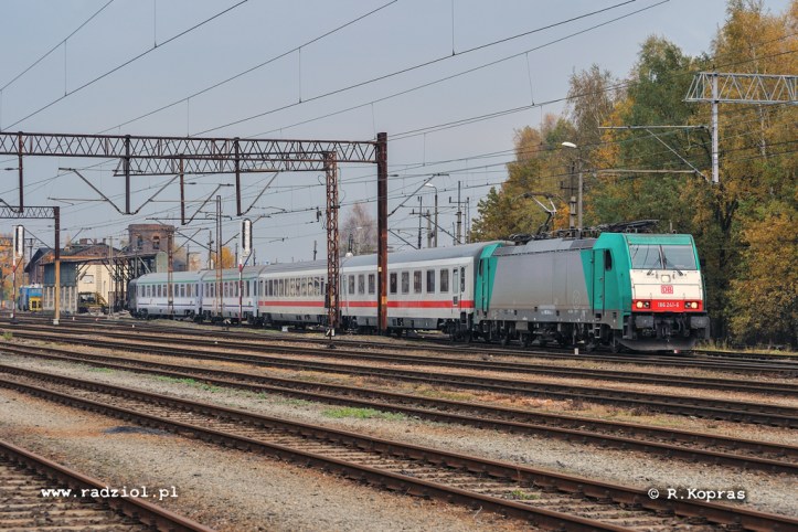 E186_241_Rzepin_wawel_radziolpl