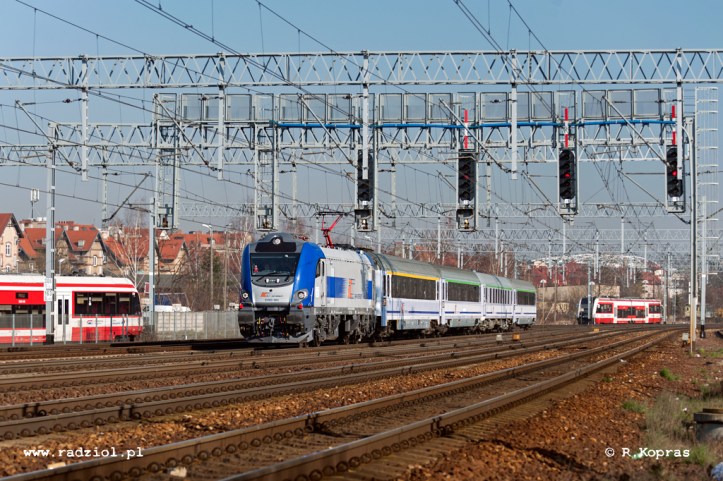 170320_EU160-003_Poa_gal_radziolpl