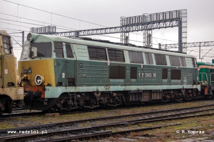 101208_SU45-198_Poa_radziolpl